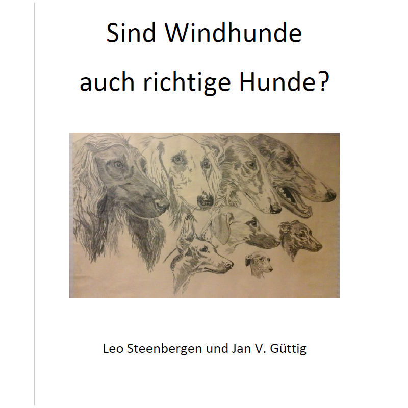 Sind Windhunde auch richtige Hunde Sind Windhunde auch richtige Hunde