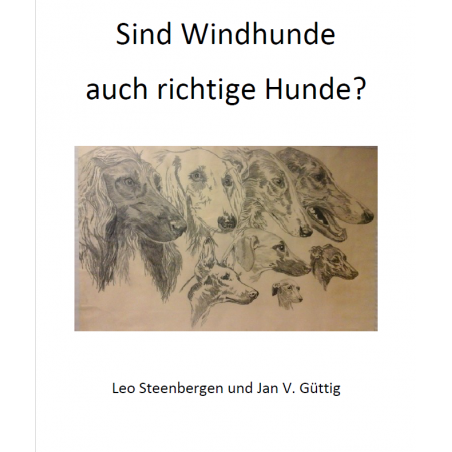 Sind Windhunde auch richtige Hunde